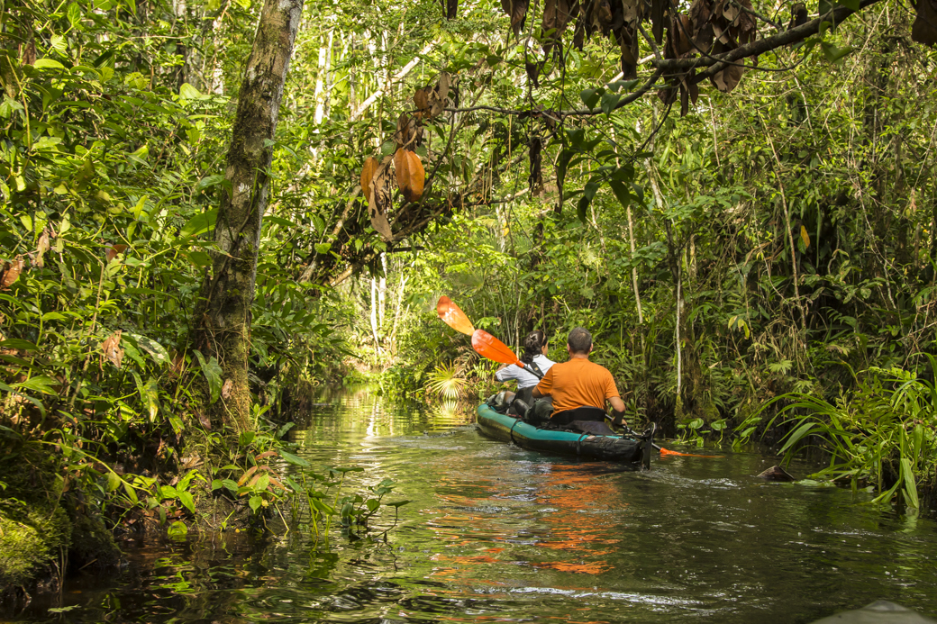 Tofino Expeditions Amazon Amazon Kayaking Trip Kayaking the Amazon Jungle in Style